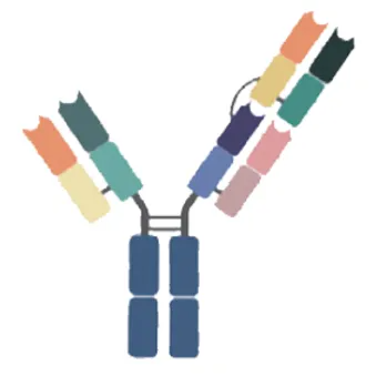 imgi_5_640.png